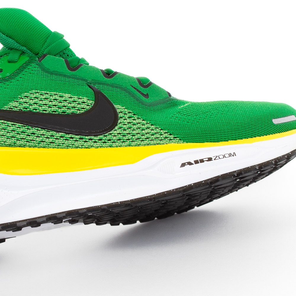 Classic Oregon O, Nike, Green, Shoe, Accessories, Unisex, Pegasus 41, 2025, 932405